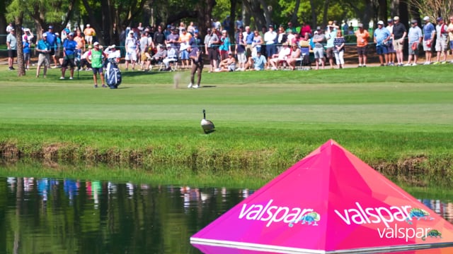 Valspar Championship 2020 - Ronde Barber Welcome